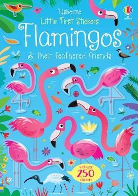 Flamingos. Little First Sticker book