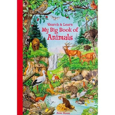 My Big Book Of Animals Search and Learn