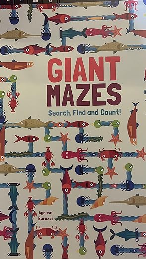 Giant Mazes Search, Find and Count!