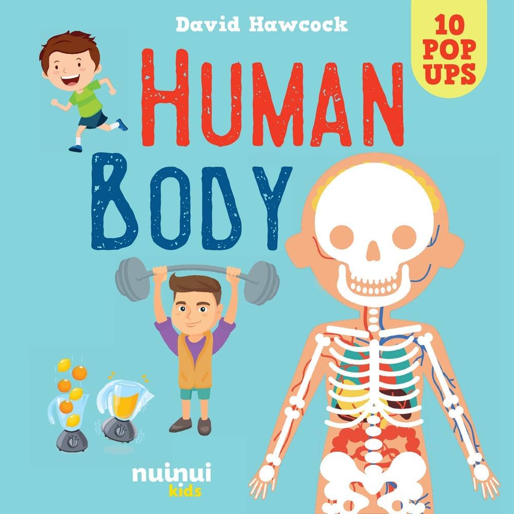 Human Body pop-up