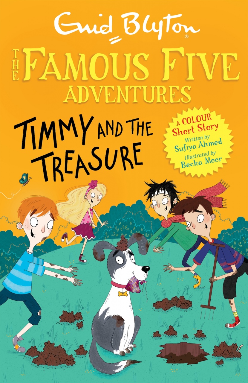 Famous Five Colour Short Stories: Timmy and the Treasure