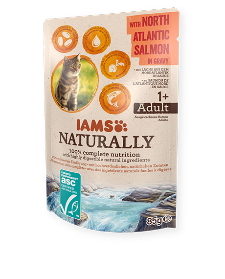 Iams Naturally konservai katėms su lašiša, 85 g