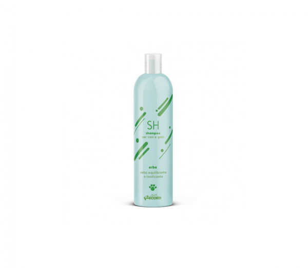 RECORD Šampūnas su žolelėmis 250ml
