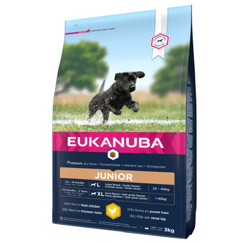 Eukanuba Junior L/XL Breeds Chicken sausas pašaras jauniems šunims didelių veislų, vištiena; 15kg