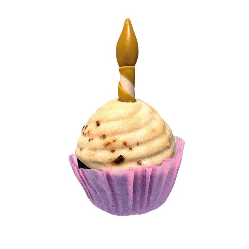 Croci Party Cupcake skanėstas gimtadienio keksiukas šunims; 65g