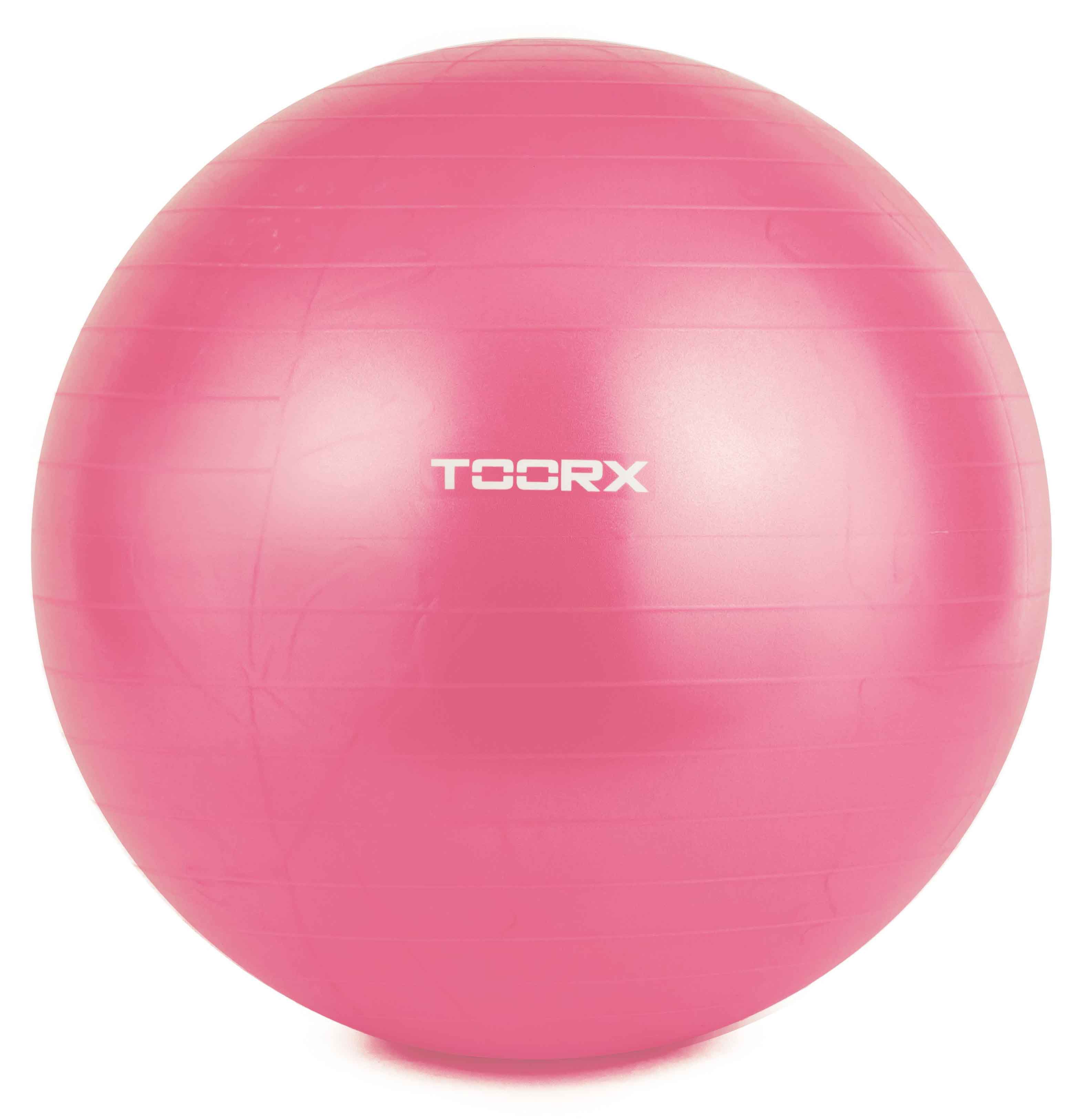 Gimnast. kamuolys 55cm TOORX AHF-069 su pompa