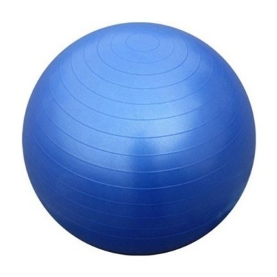Gimnastikos Kamuolys SPORTBAY® 75 cm (Spalva: Mėlyna)