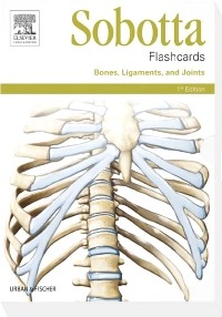 Sobotta Flashcards Bones, Ligaments, and Joints