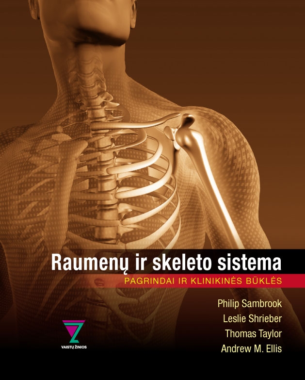 Raumenų ir skeleto sistema