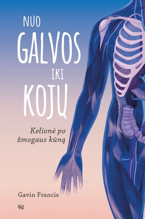 Nuo galvos iki kojų. Kelionėpo žmogaus kūną