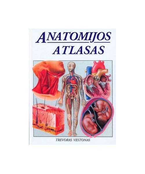 Anatomijos atlasas