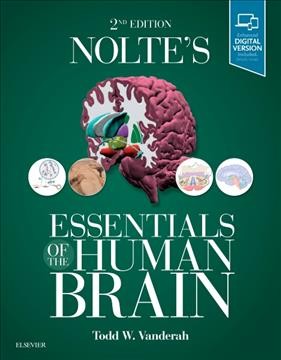 Nolte's Essentials of the Huma n Brain