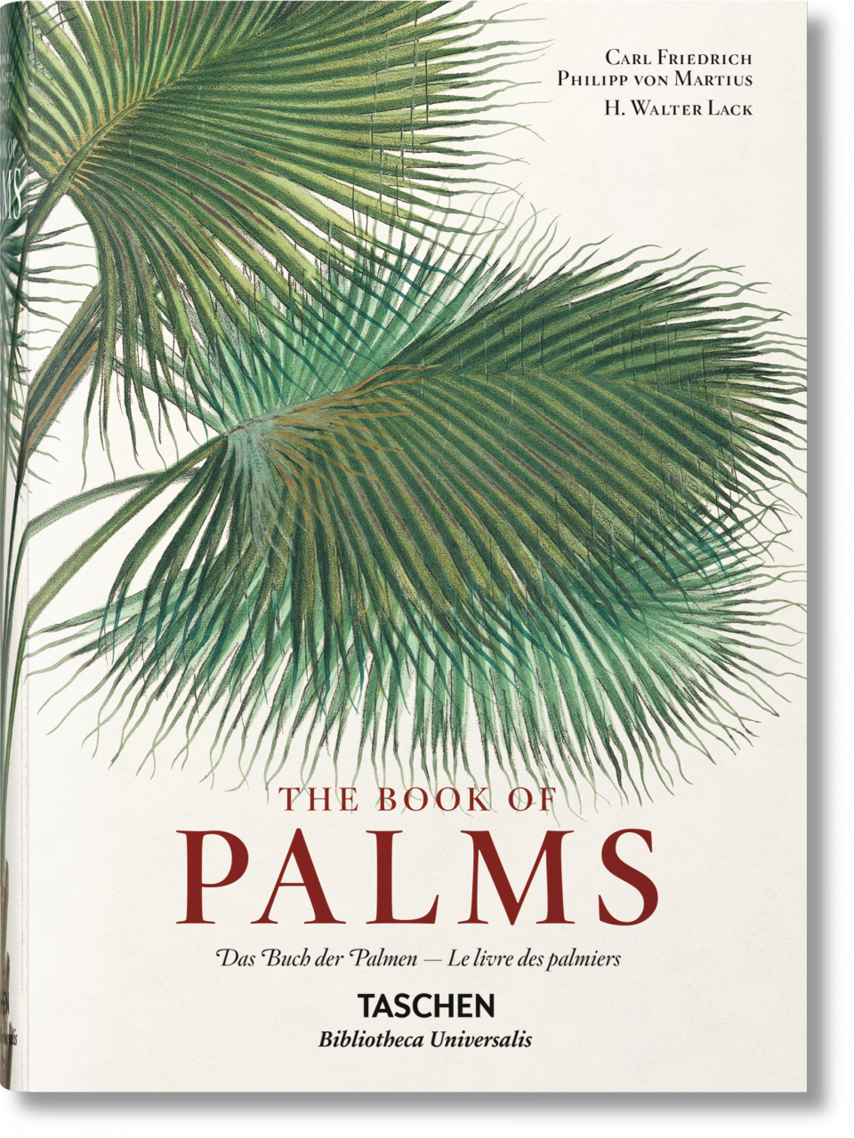 Martius. The Book of Palms
