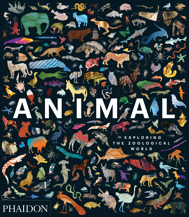 Animal: Exploring theZoological World