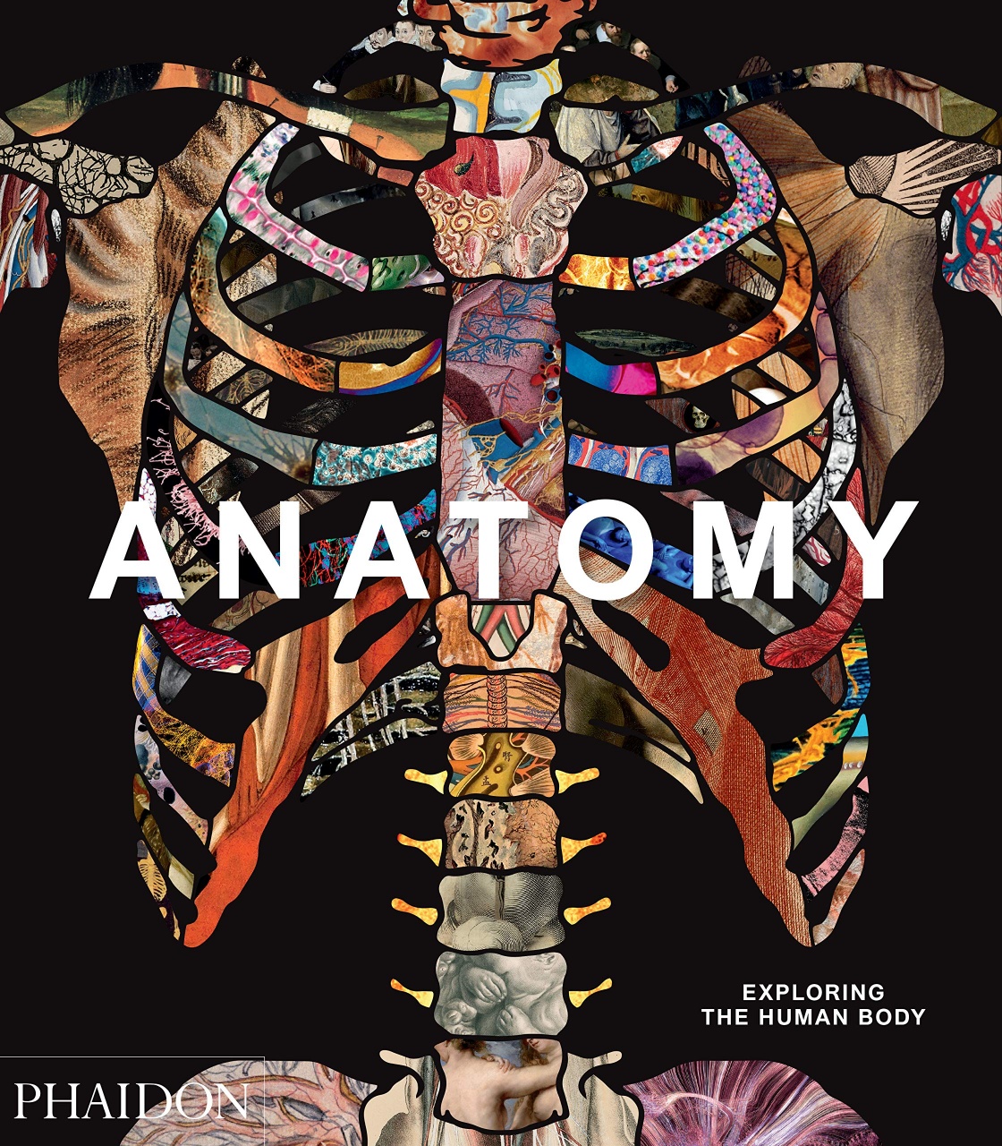 Anatomy: Exploring the HumanBody