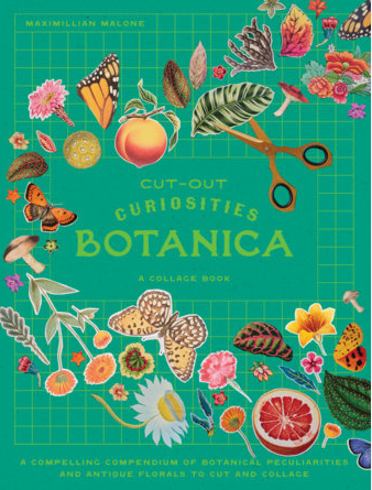 Cut-out Curiosities
