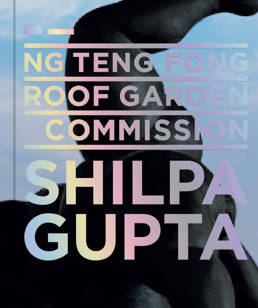 Shilpa Gupta: Ng Teng Fong