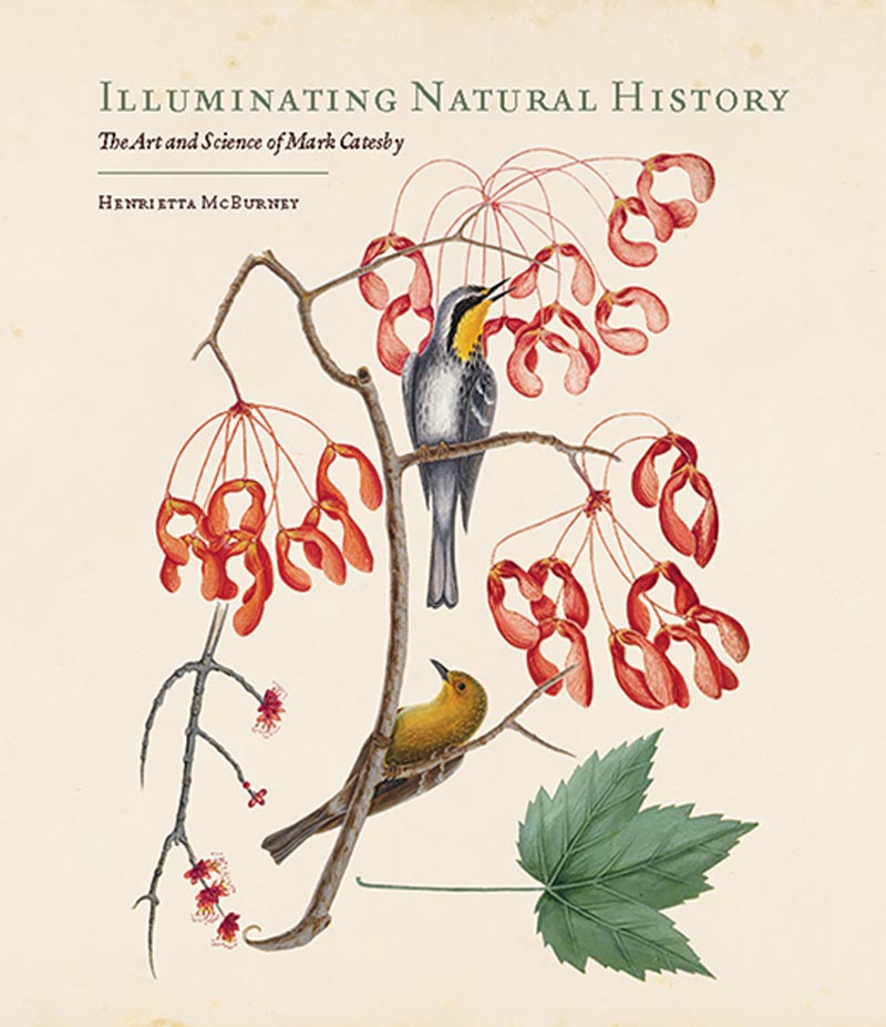 Illuminating Natural History