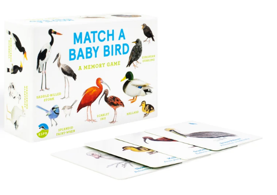 Match a Baby Bird