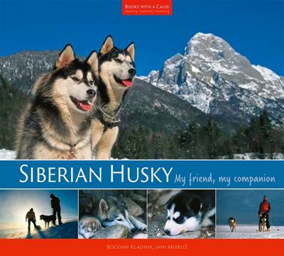 Siberian Husky