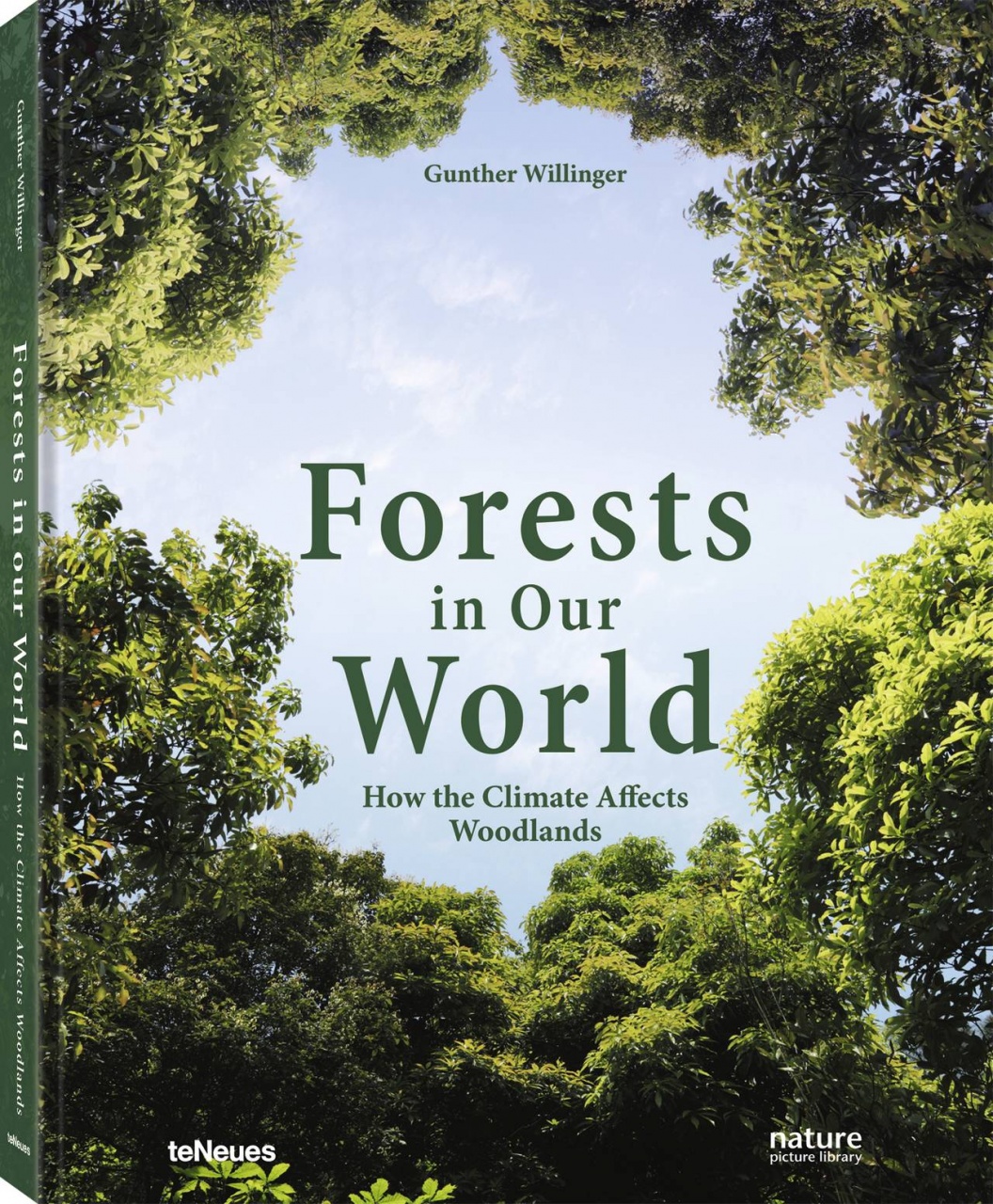 Forests in Our World