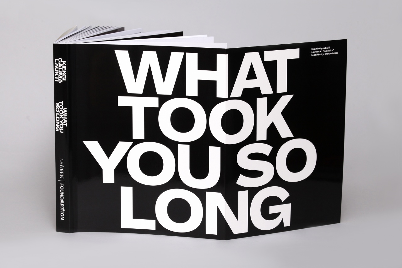 Kiekgi galima laukti/What tookyou so long