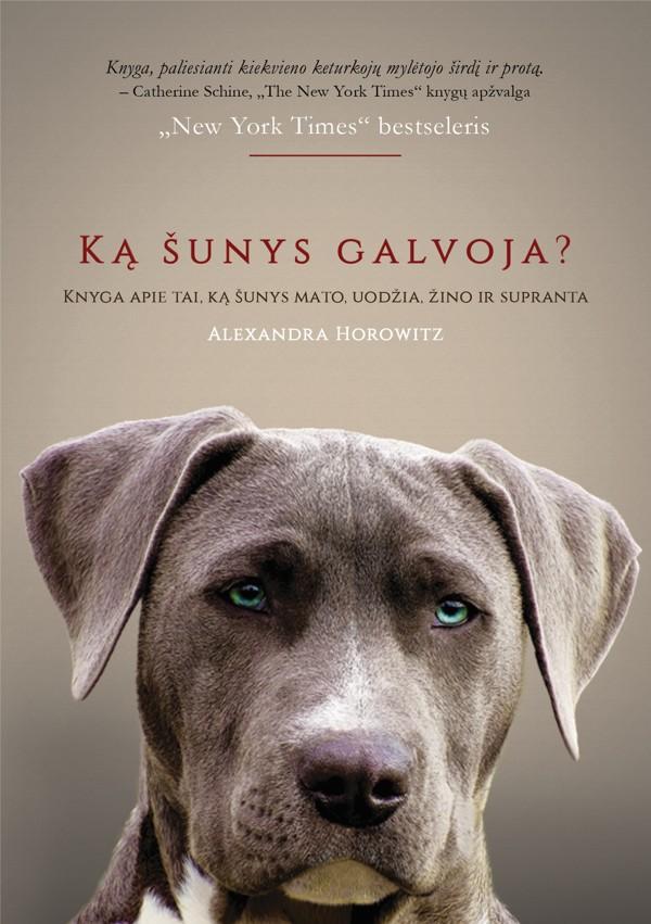 Ką šunys galvoja?