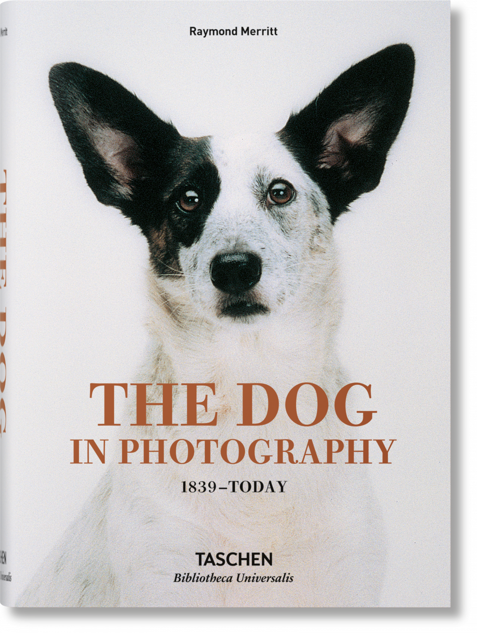 The Dog in Photography1839-Today