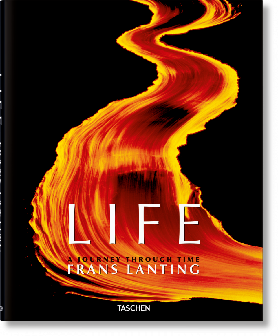 Frans Lanting. LIFE