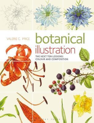 Botanical Illustration