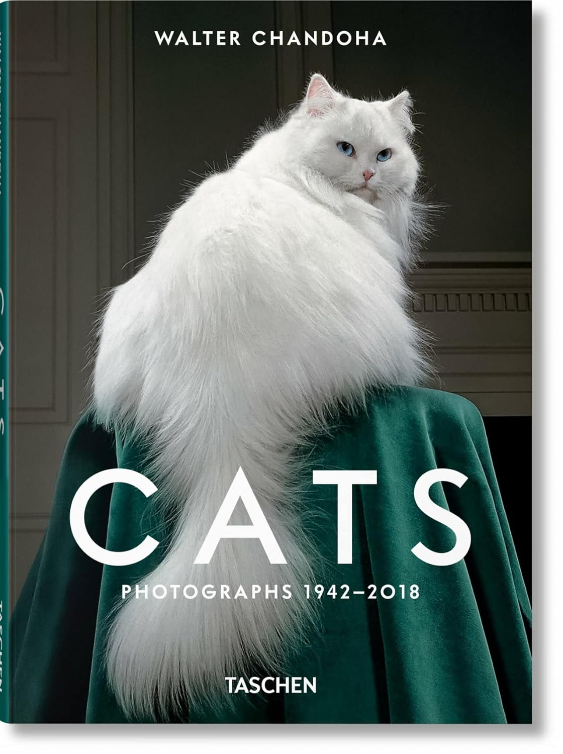 Walter Chandoha. Cats