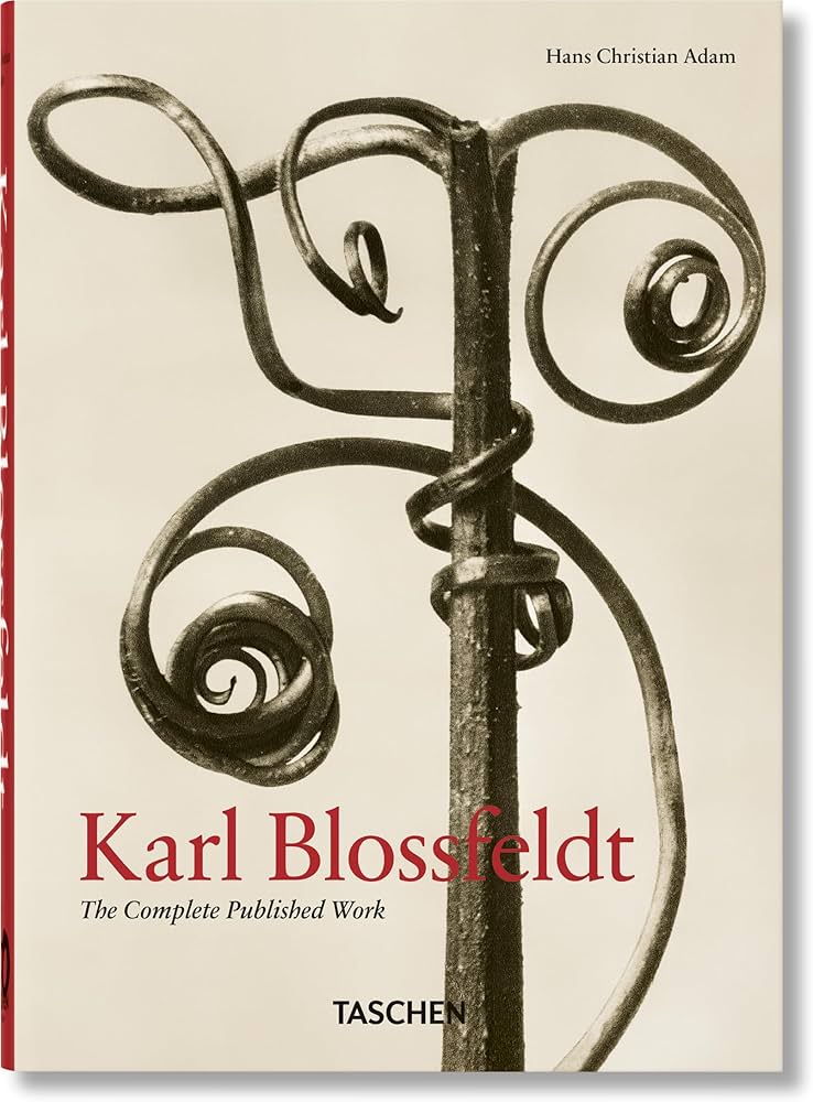 Karl Blossfeldt