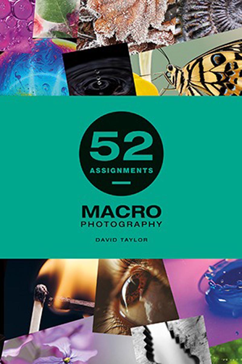 52 Assignments: Macro Photogra phy