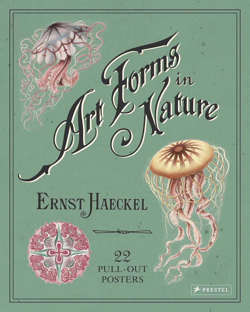 Ernst Haeckel: Art Forms in Nature