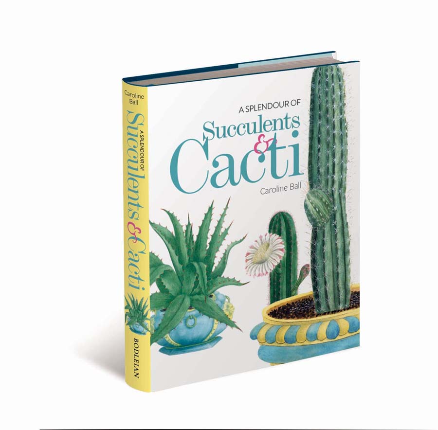 Splendour of Succulents and Cacti