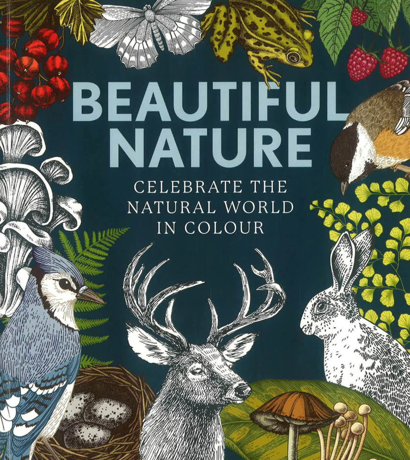 Beautiful Nature Colouring Book