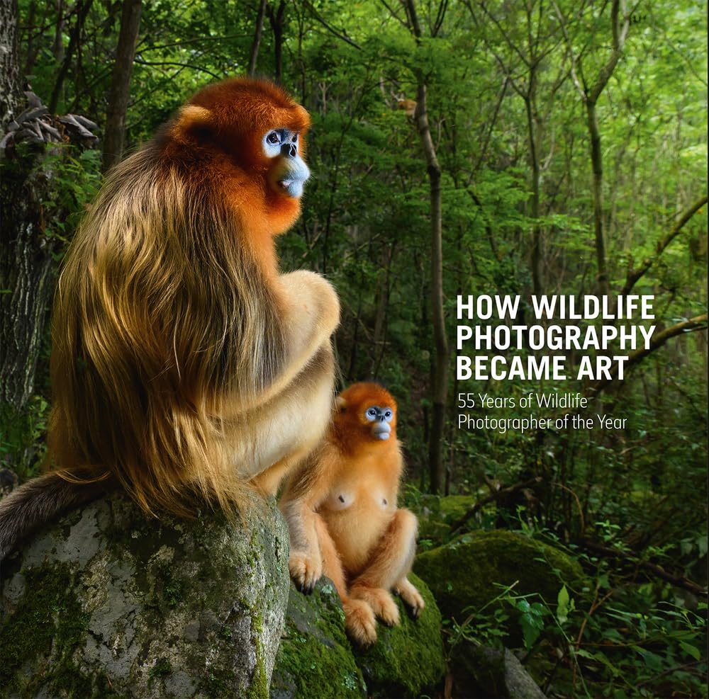 How Wildlife Photography Becam e Art: 55 Years of Wildlife