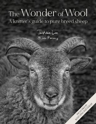 he Wonder of Wool: A Knittter' s Guide to Pure Breed Sheep