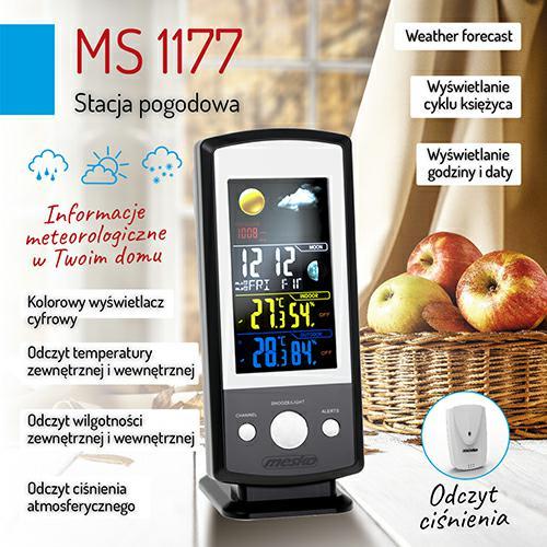 Drėgmės matuoklis Mesko MS 1177 su nuotoliniu jutikliu