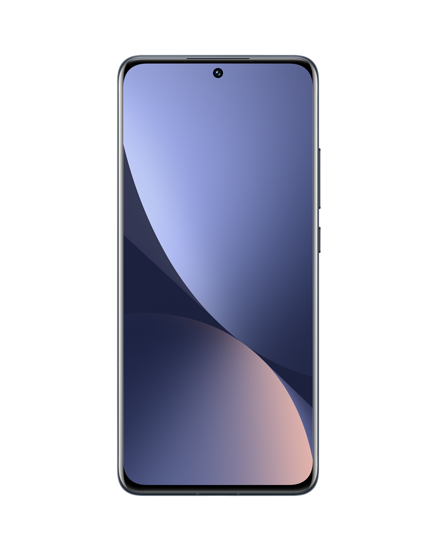 Mobilusis telefonas XIAOMI 12 128GB Gray