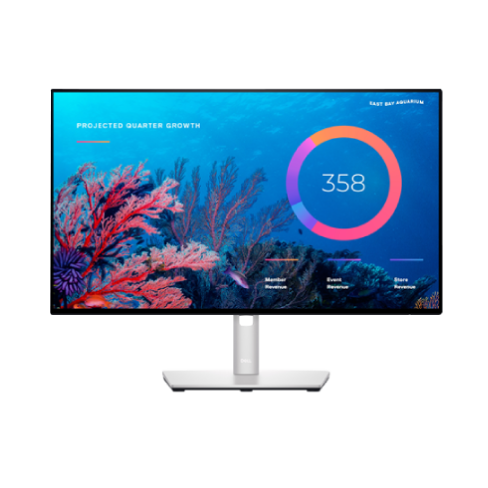 U2422HE 23.8" monitorius