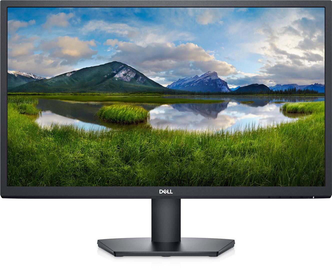 Monitorius DELL LCD SE2422H 23.8"