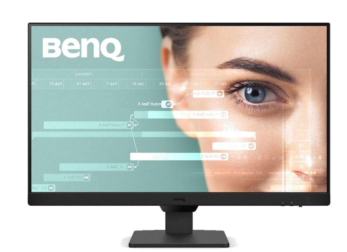 Monitorius Benq GW2490 24"