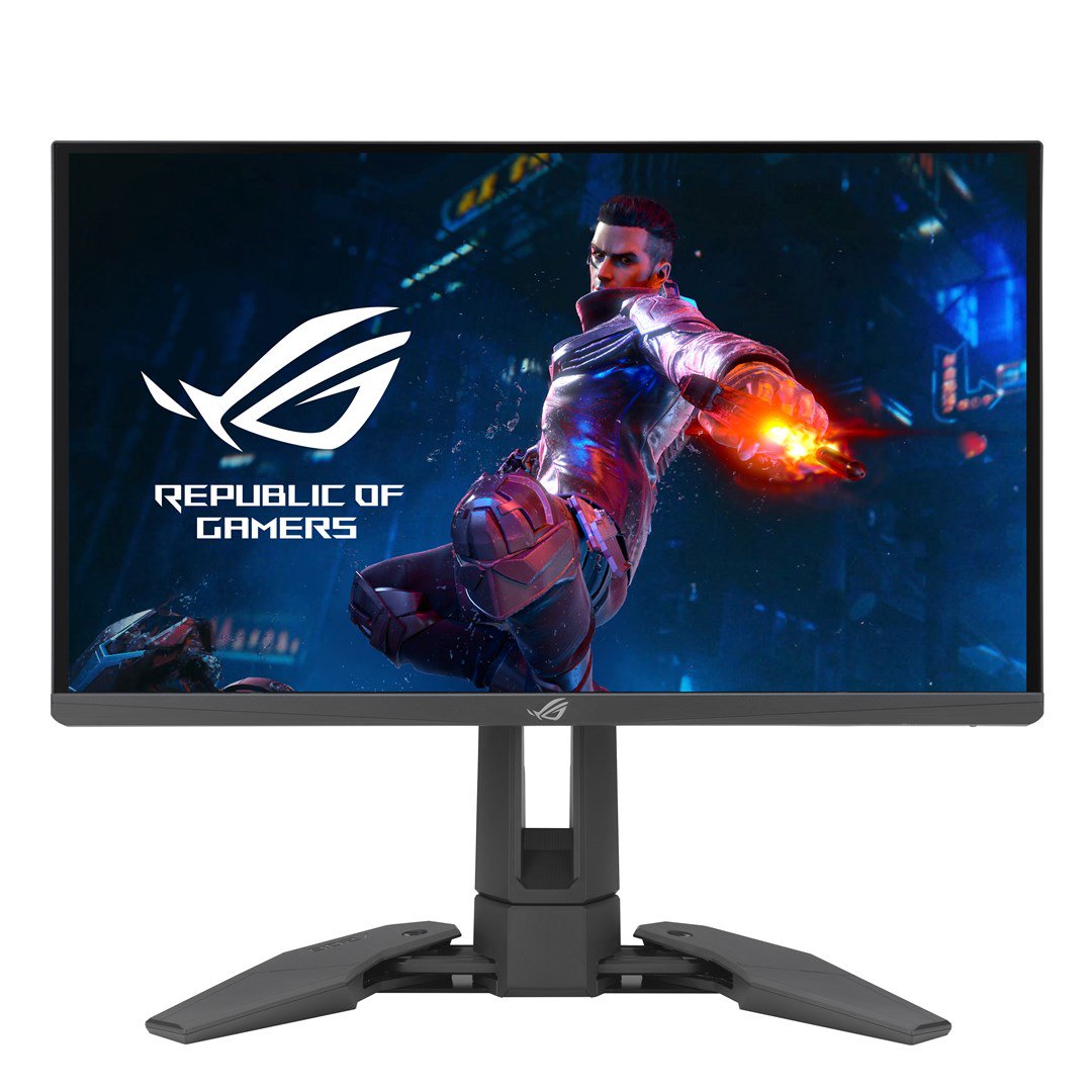 Monitorius ASUS PG248QP