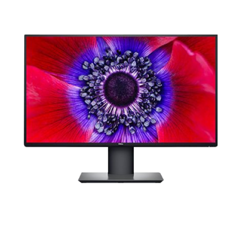 U2520D 25" monitorius