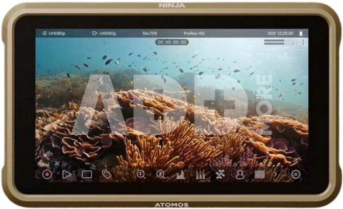 Atomos Ninja