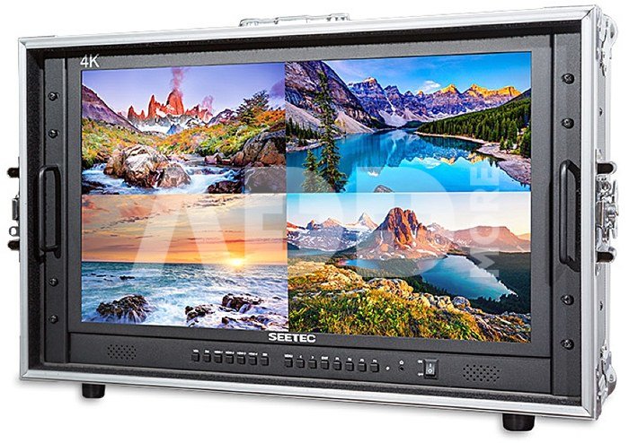 Seetec 23,8'' P238 9HSD CO Broadcast Monitor with Flightcase