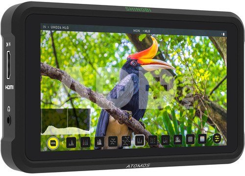 Atomos Shinobi video monitorius