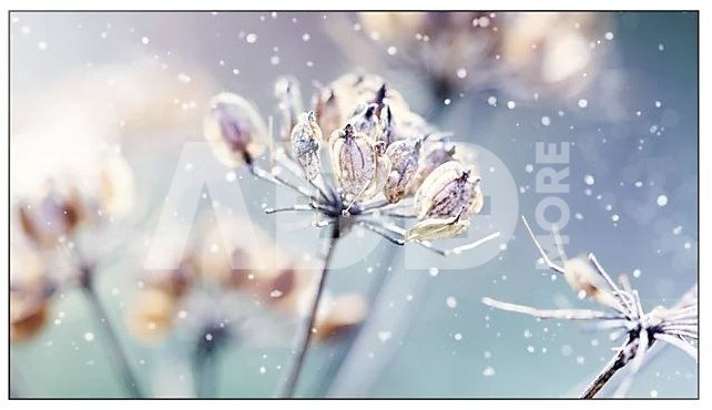 Samsung Professional monitor VM46B-U 46 inch Video wall Mat 24h/7 500(cd/m2) 1920 x 1080(FHD) N/A 3 years d2d (LH46VMBUBGBXEN)