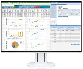 Eizo FlexScan EV2457 24.1" - White